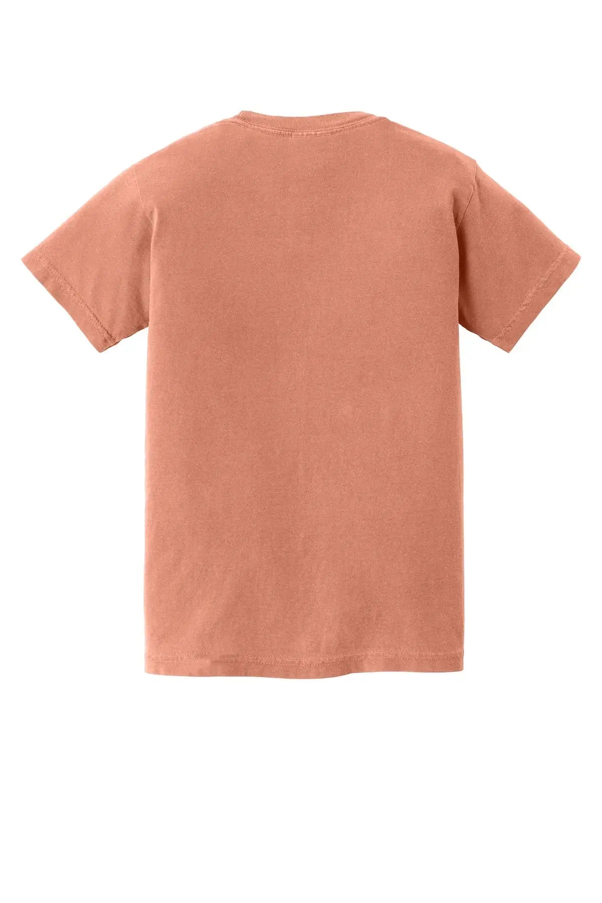 Comfort Colors® Youth Heavyweight Ring Spun Tee #9018 Game Over Merch