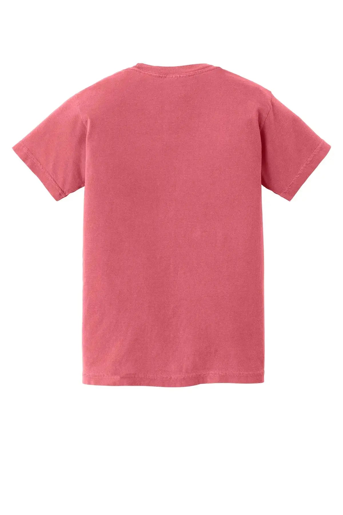 Comfort Colors® Youth Heavyweight Ring Spun Tee #9018 Game Over Merch