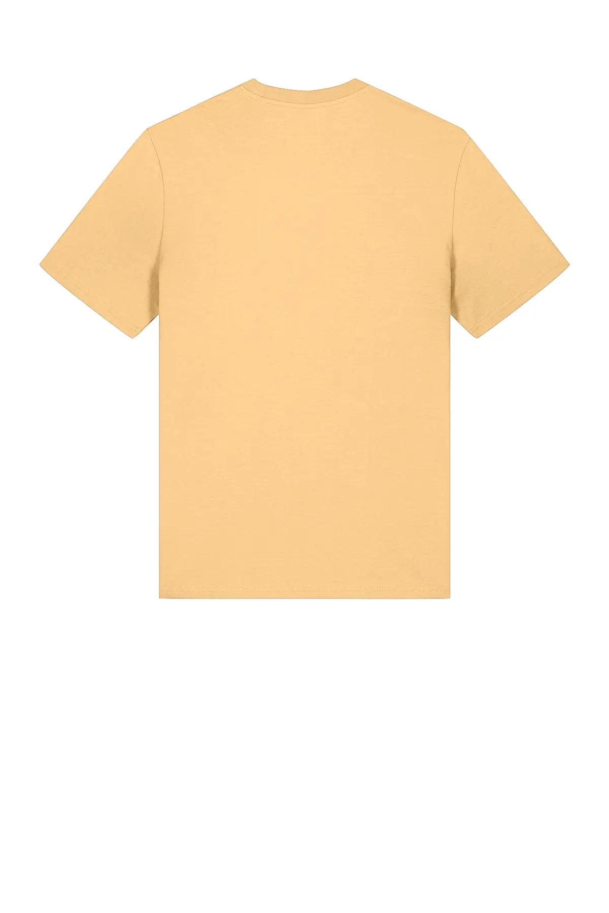 Stanley/Stella Unisex Creator 2.0 Tee #SXU001