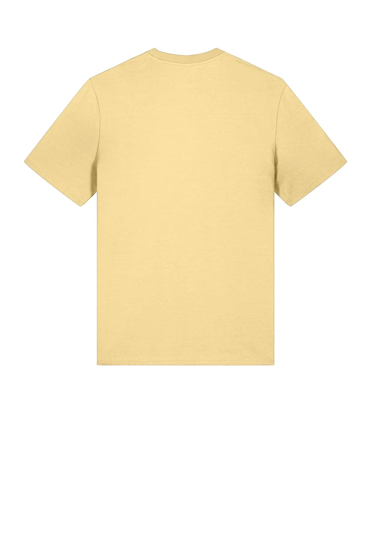 Stanley/Stella Unisex Creator 2.0 Tee #SXU001